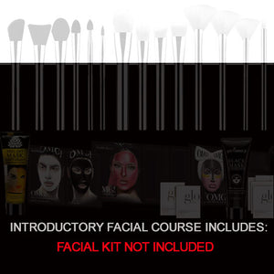 Introductory Facial Course